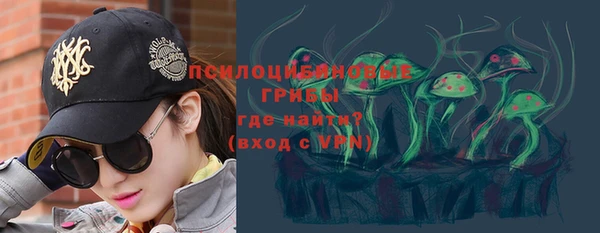 молекула духа Чекалин