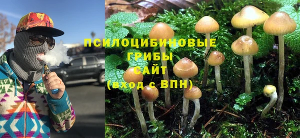 молекула духа Чекалин