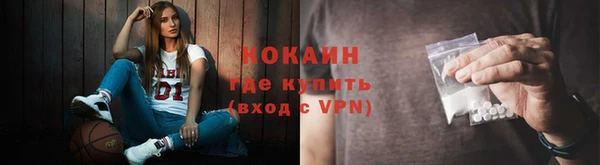 стафф Шадринск